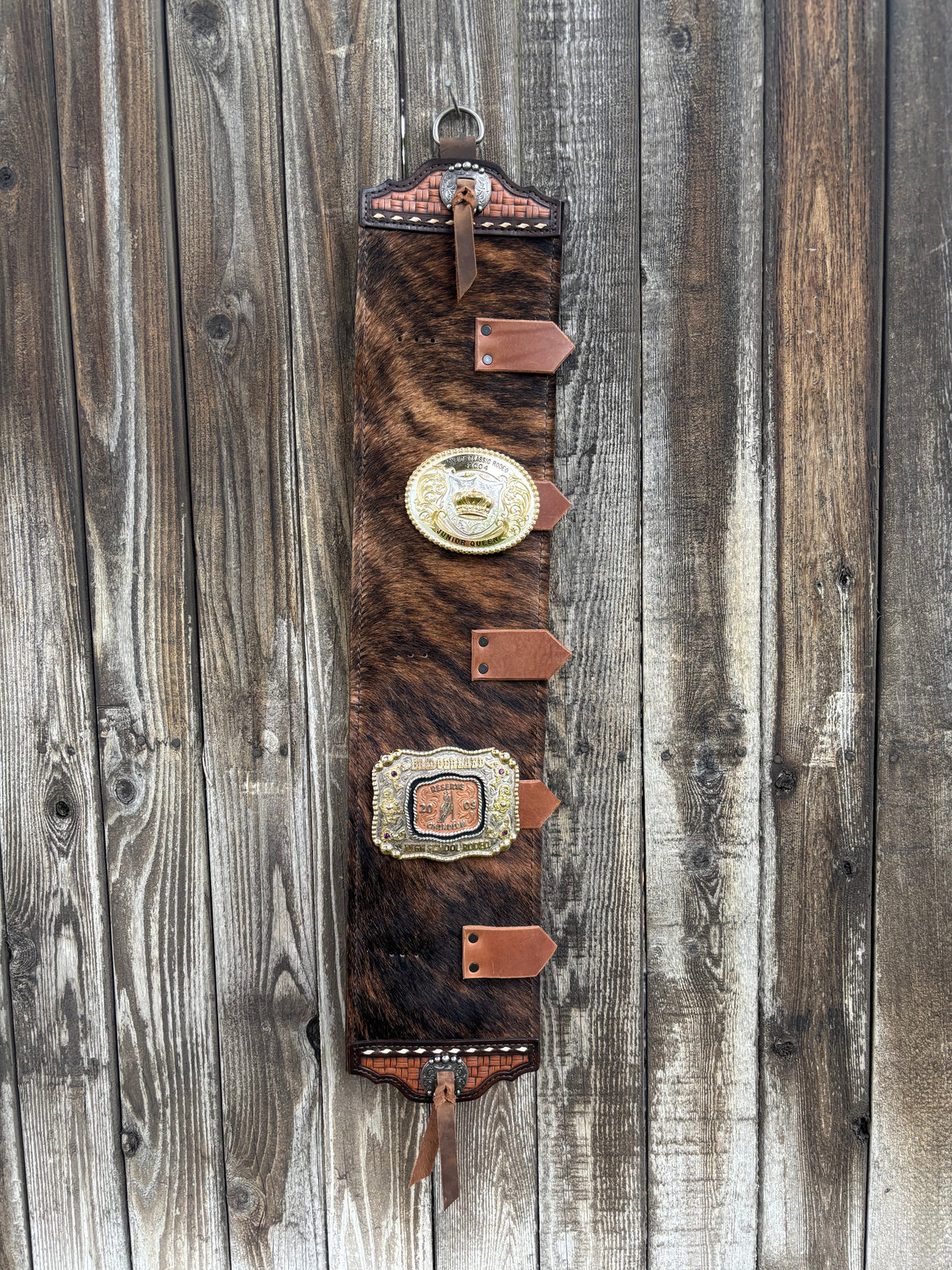 Buckle holder 5 spot brindle hair on hide