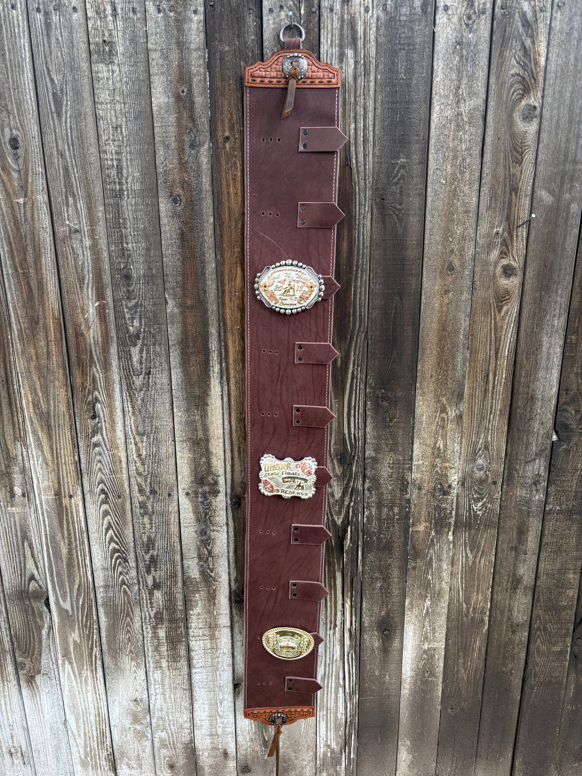 Buckle holder dark brown 10 spots