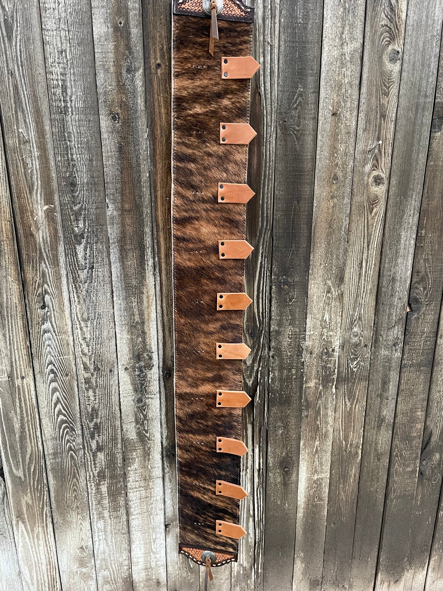 Buckle holder brindle