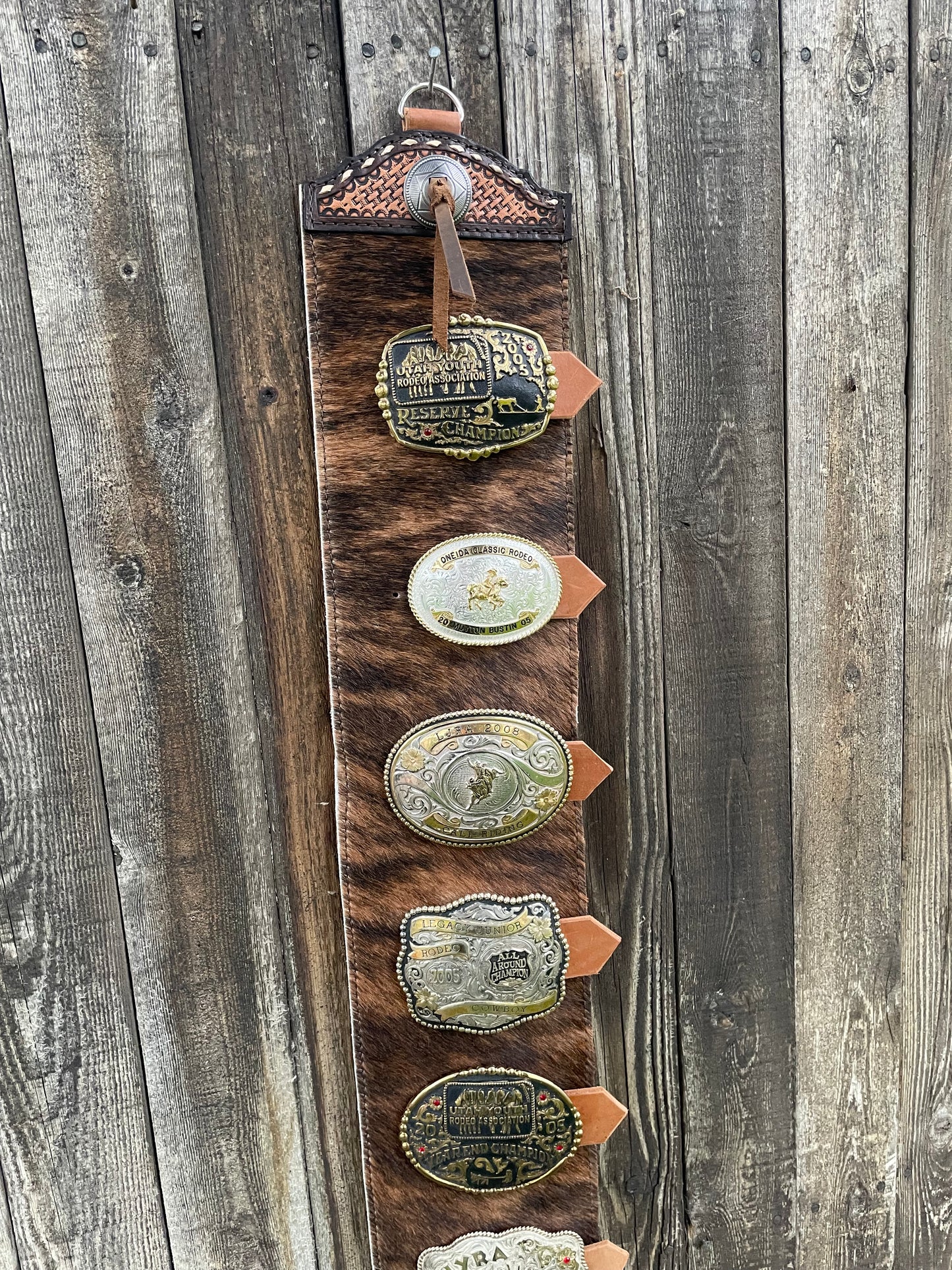 Buckle holder brindle