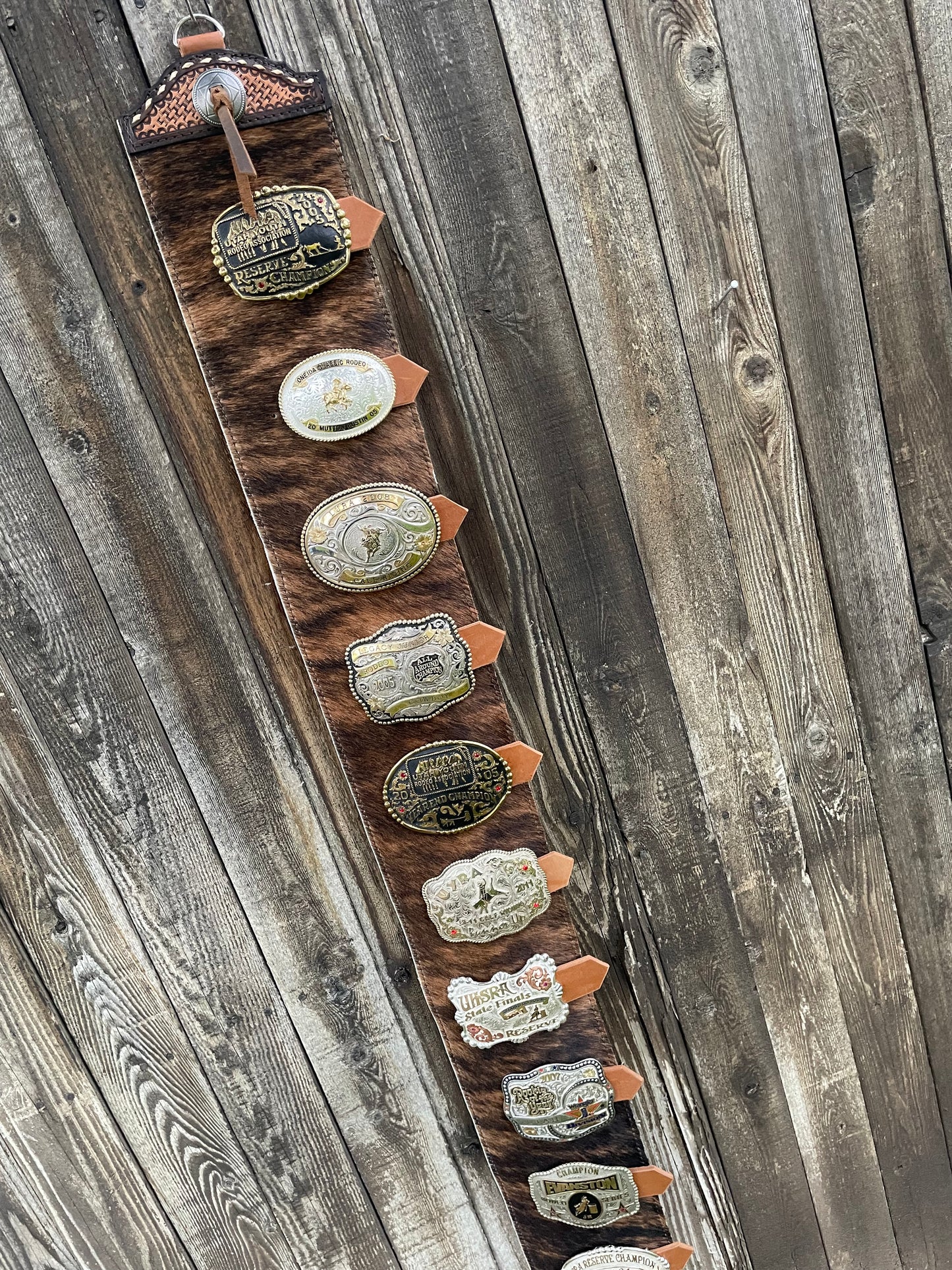 Buckle holder brindle