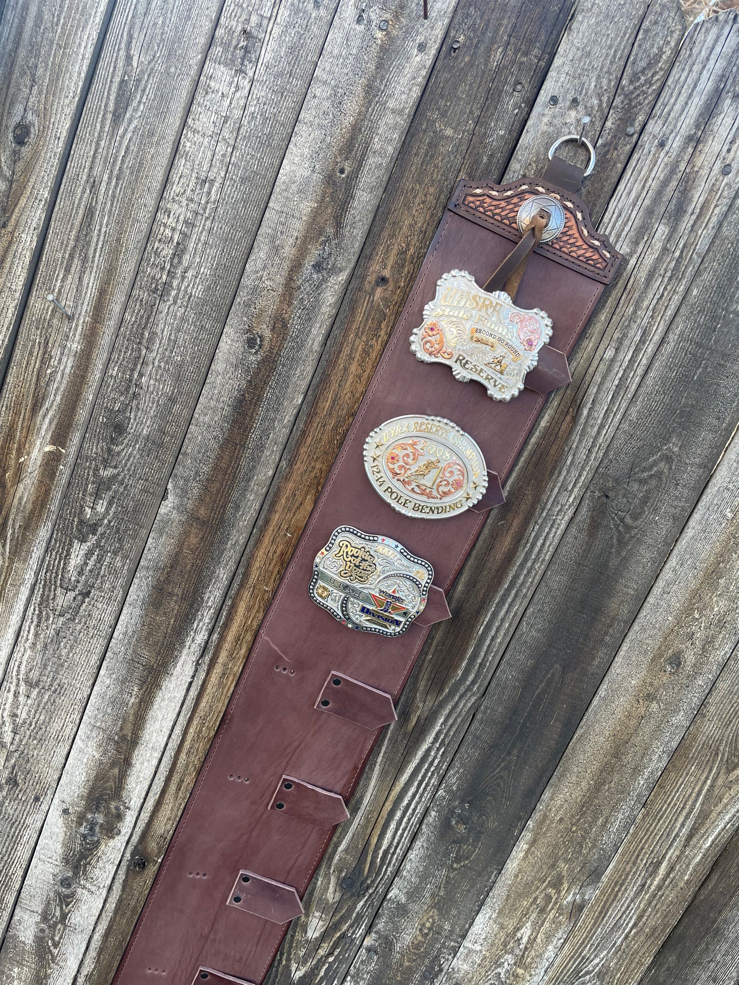 Buckle holder dark brown 10 spots